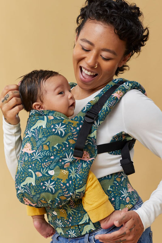 Tula Free-to-Grow Baby Carrier Harbor Skies